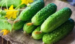 吃瓜爆料素材图片无水印,吃瓜群众眼中的娱乐圈风云录